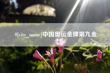 南安中国奥运金牌第九金