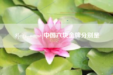 南安中国六块金牌分别是