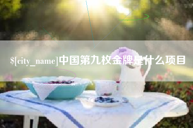 南安中国第九枚金牌是什么项目