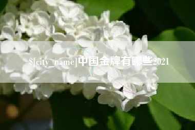 南安中国金牌有哪些2021