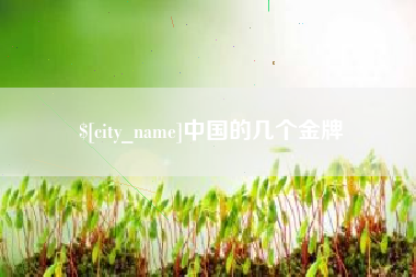 南安中国的几个金牌