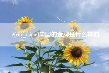 南安中国的金牌是什么样的