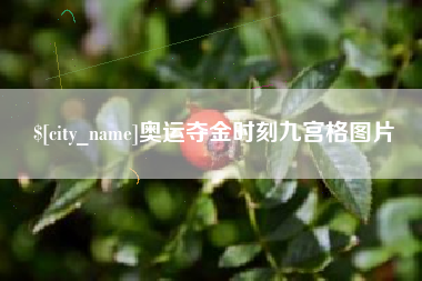 南安奥运夺金时刻九宫格图片