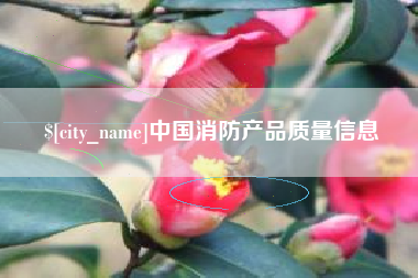 南安中国消防产品质量信息