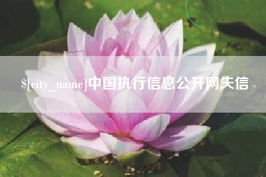 南安中国执行信息公开网失信