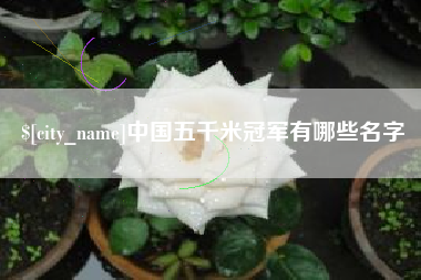 南安中国五千米冠军有哪些名字