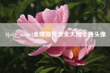南安金牌图片大全大图卡通头像