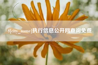 南安执行信息公开网查询免费
