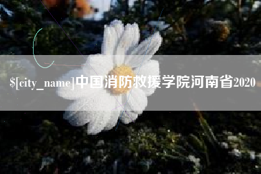 南安中国消防救援学院河南省2020